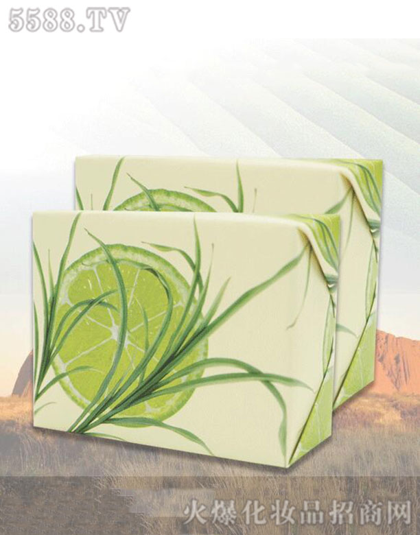 �����������Ƽ����޹�˾����噎�ʲ��ֹ���