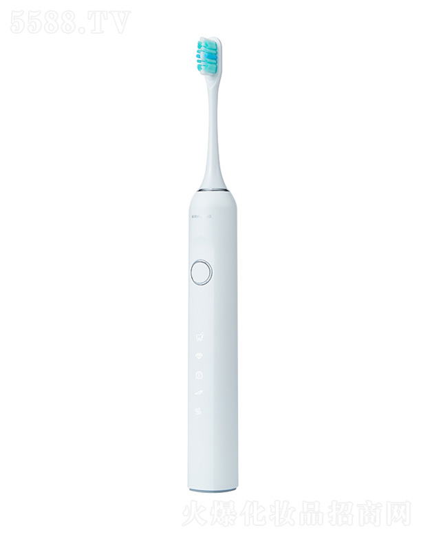 ���������R���Ƽ����޹�˾�����R��ZR503늄���ˢ���b-��