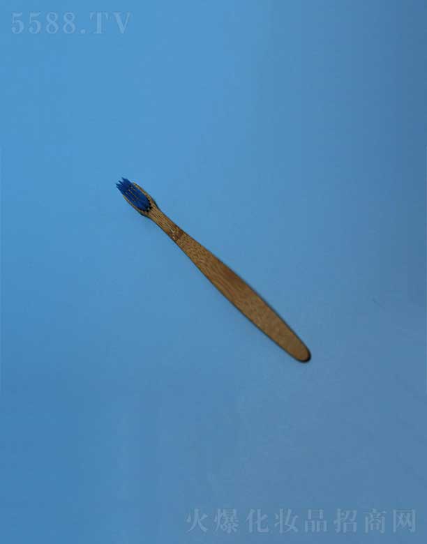 �P�ݻ��i�ջ���Ʒ���޹�˾���h(hu��n)�������ˢEFBH-006