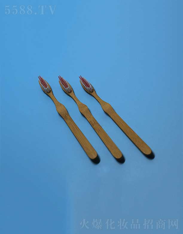 �P�ݻ��i�ջ���Ʒ���޹�˾���h(hu��n)�������ˢEFBH-005