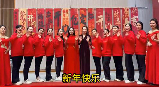 蛇年好運至，幸福滿人間！飛斯達祝您百事從歡，一路向陽！