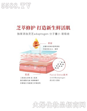 �����`֥�x�����o(h��)��Ĥ֥�����o(h��)