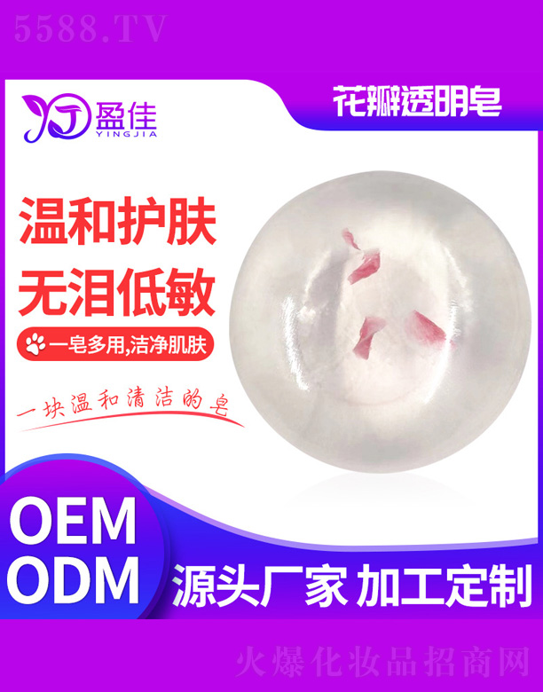 ����͸���ֹ���