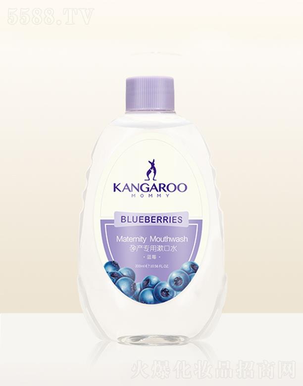 ���󋌋��Юa(ch��n)��������ˮ���{ݮ��300ml�h�x���N���܆��}