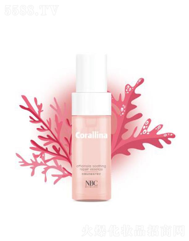 NBCܛɺ���澏���o���A  ���Ƹ��������ؽ�