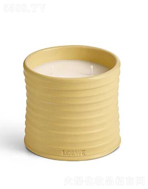 �_������̖���y���㾫Ϟ�T