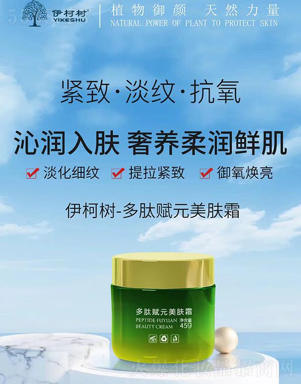 ��������xԪ���w˪