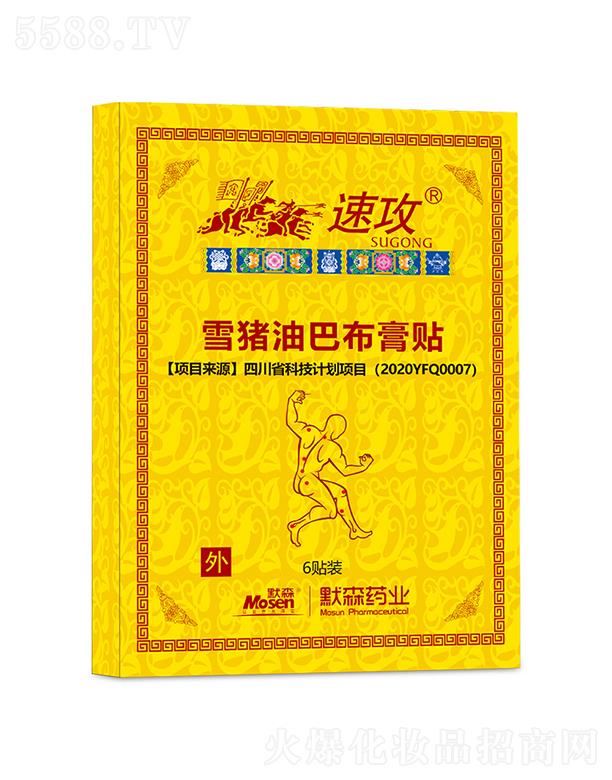 �ٹ�ѩ�i�ͰͲ����N