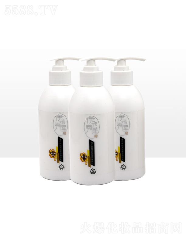 ������ɏ�SE��Ϟ���w�������w�� 300g