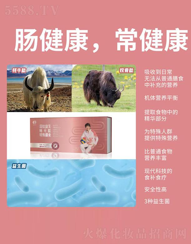 ����������Ԫ��(������ʳ)