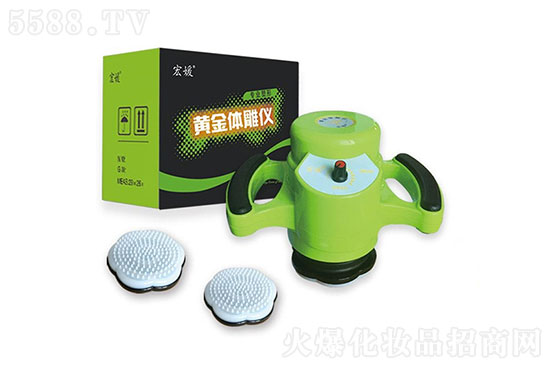 �����S���w��x