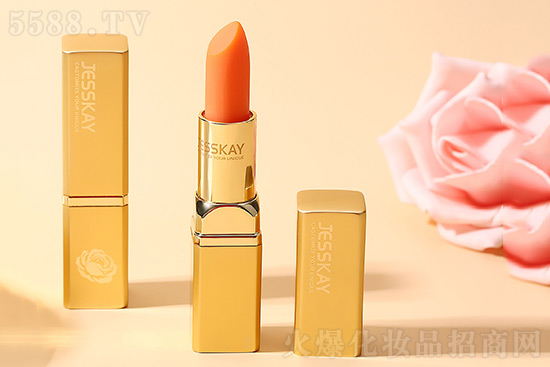 JESSKAYõ�徫�����o����